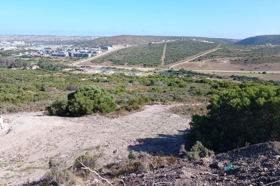 0 Bedroom Property for Sale in Seemeeu Park Western Cape